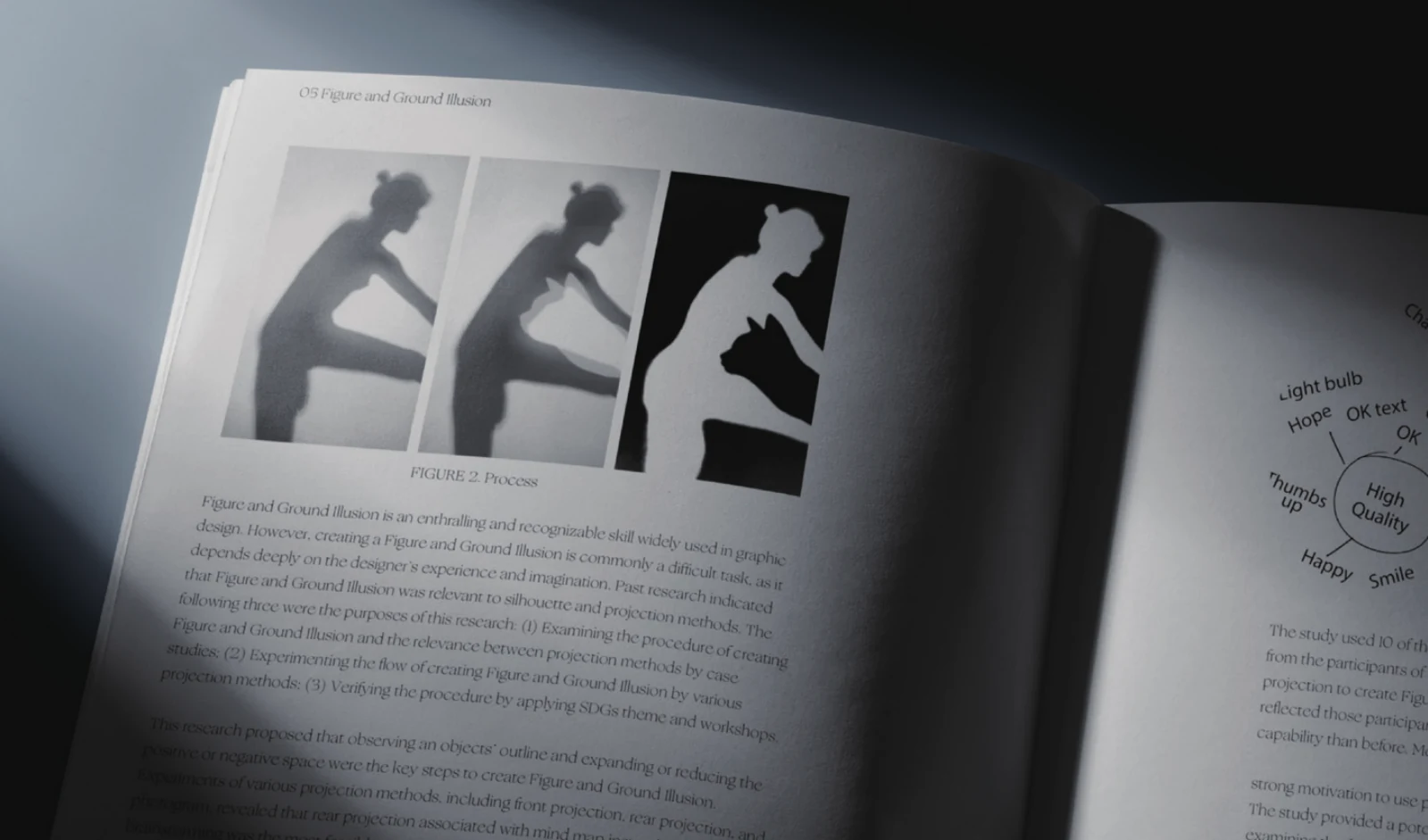 The projection research documented in an open book